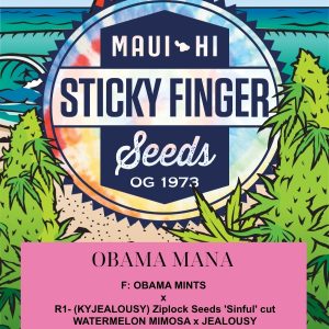Obama Mana (Fem)