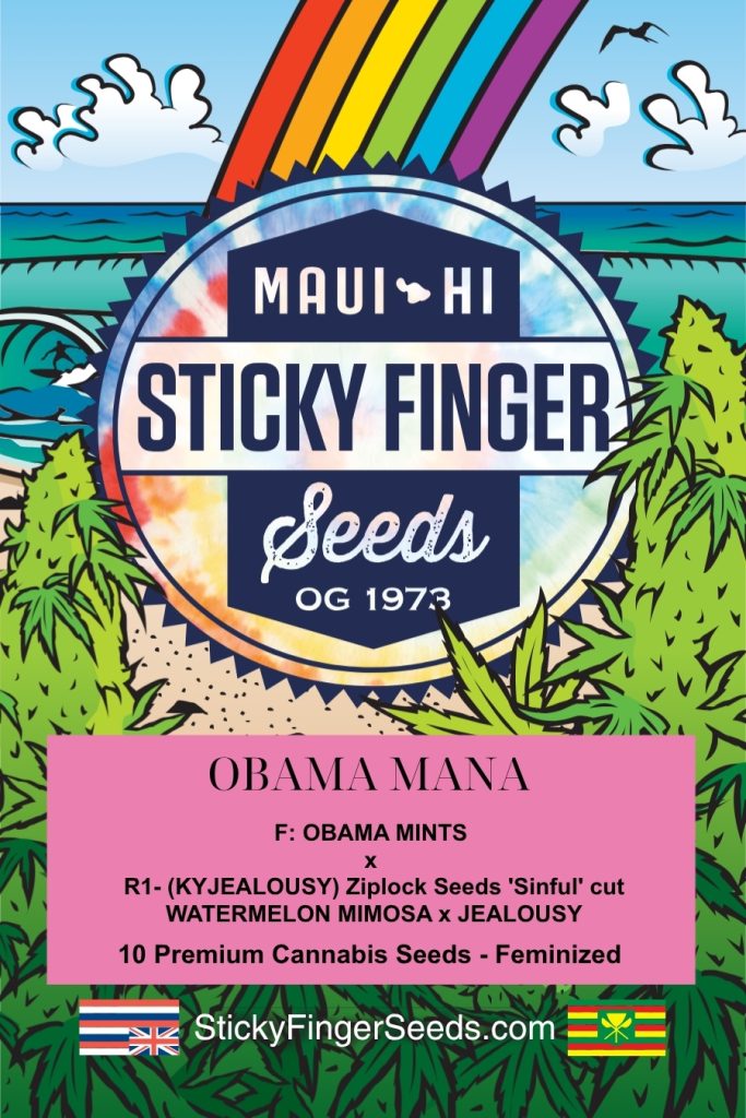 Obama Mana (Fem)