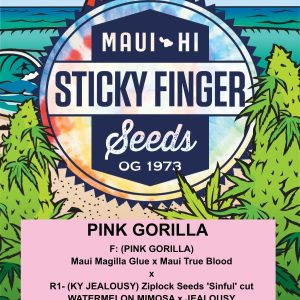 Pink Gorilla (Fem)