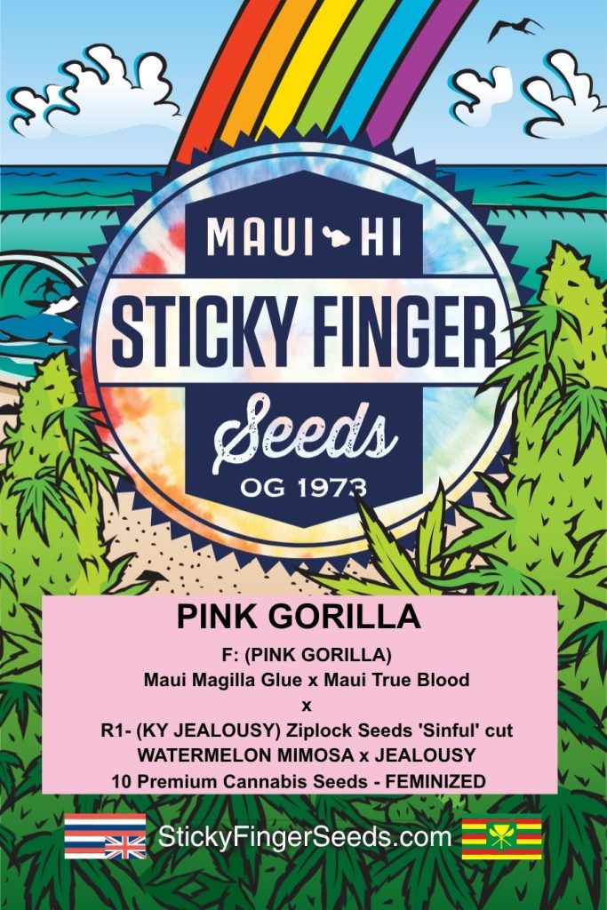 Pink Gorilla (Fem)