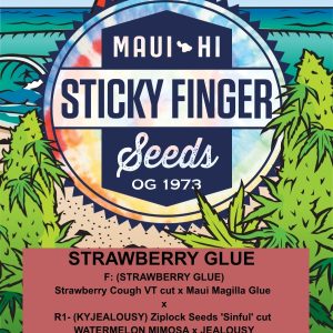 Strawberry Glue (Fem)