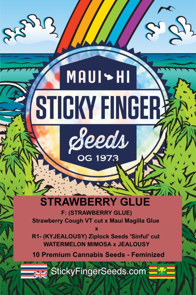 Strawberry Glue (Fem)