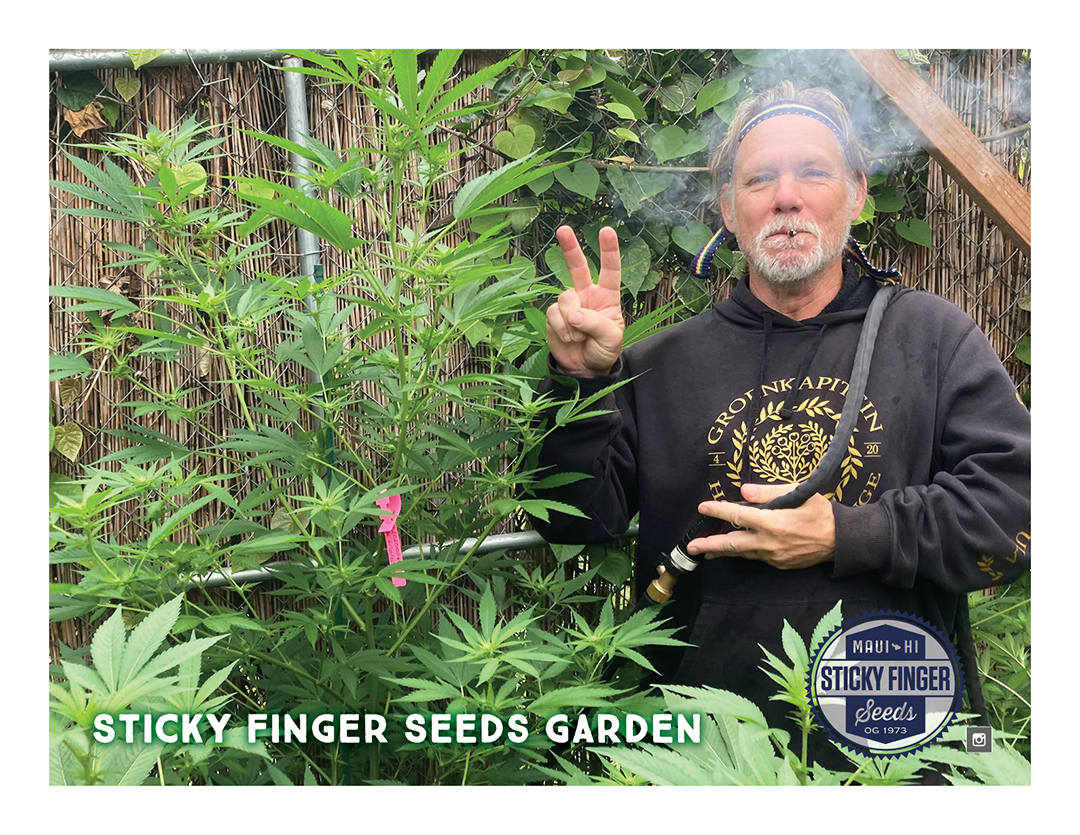 Sticky Finger Seeds