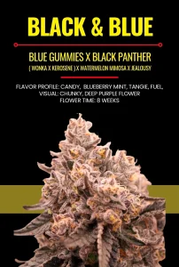 Black & Blue