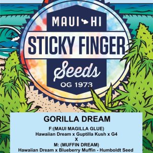Gorilla Dream