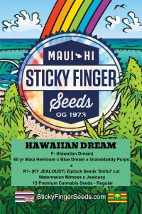 Hawaiian Dream