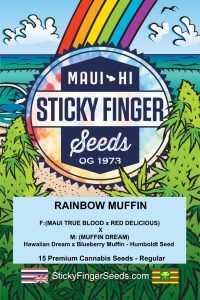 Rainbow Muffin