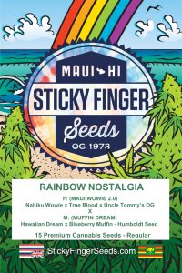 Rainbow Nostalgia