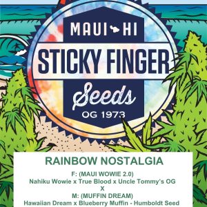 Rainbow Nostalgia