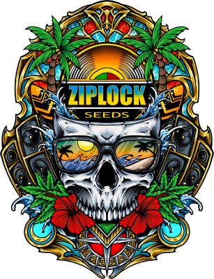 Ziplock Seeds